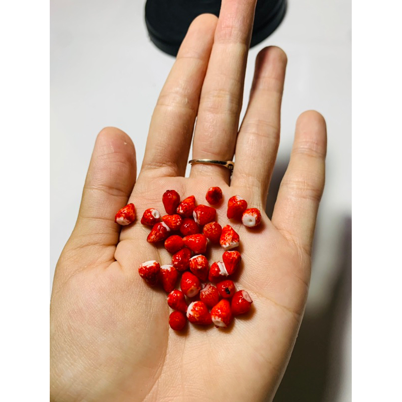 [Đất sét]Dâu tây mini size lớn nhỏ