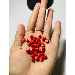 Dâu tây mini size lớn nhỏ