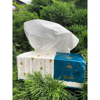 Giấy ăn lụa cao cấp 400 tờ/gói kích thước gói 10x10x20cm