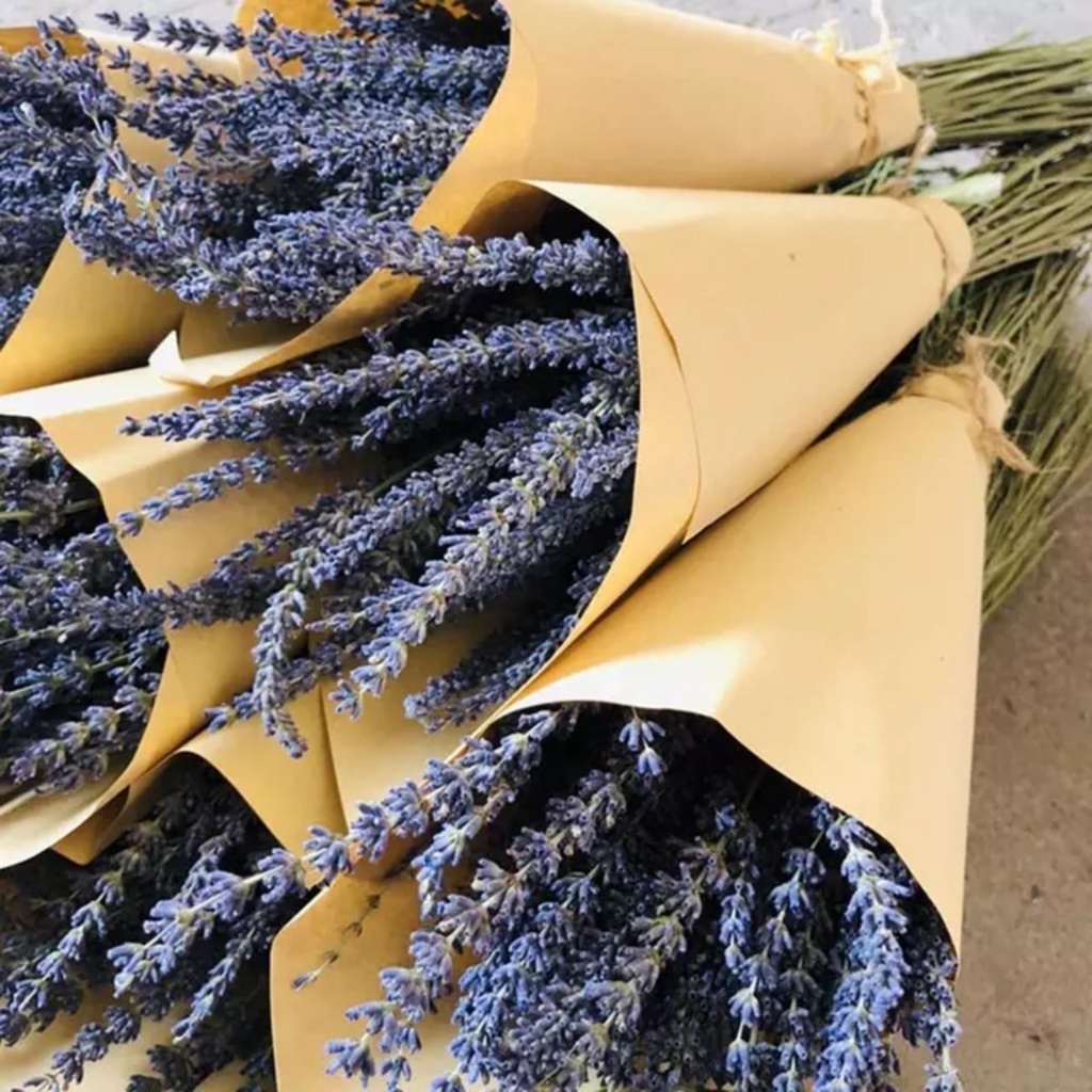 BÓ 50 CÀNH HOA OẢI HƯƠNG KHÔ, HOA LAVENDER KHÔ BÓ LÀM QUÀ TẶNG, TRANG TRÍ DECOR