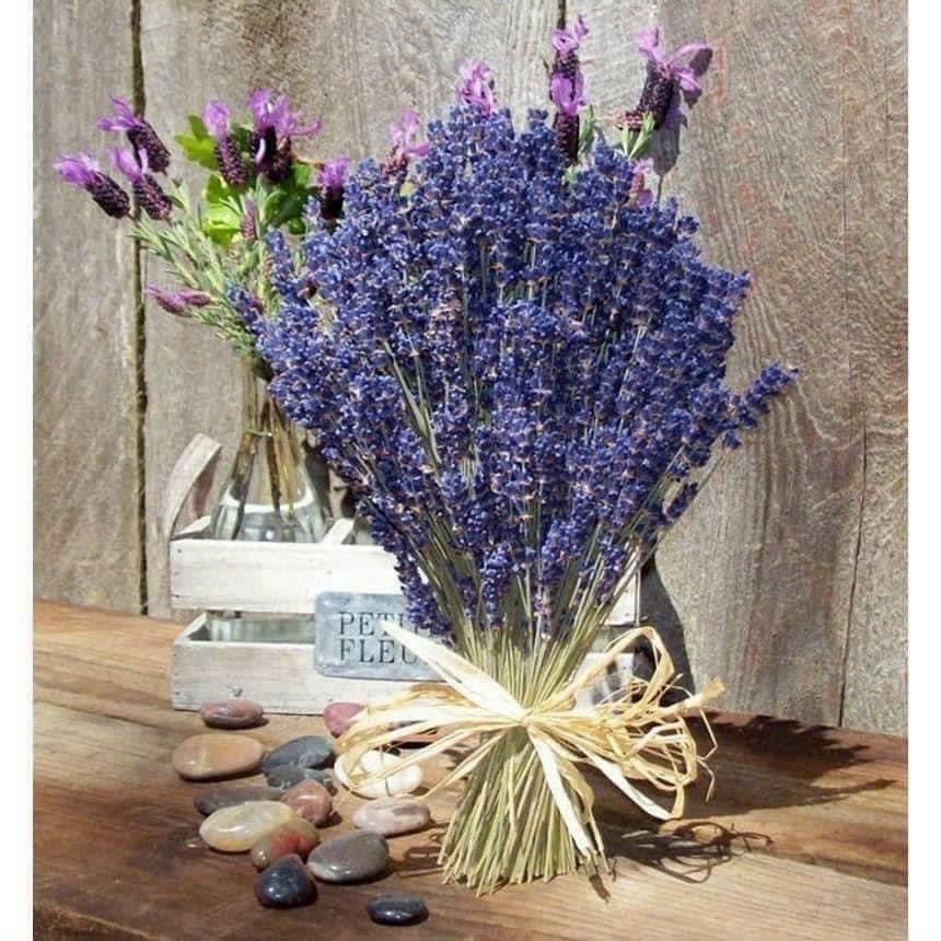 BÓ 50 CÀNH HOA OẢI HƯƠNG KHÔ, HOA LAVENDER KHÔ BÓ LÀM QUÀ TẶNG, TRANG TRÍ DECOR