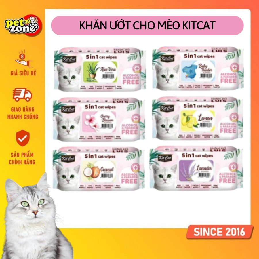 Khăn giấy ướt kháng khuẩn dành cho mèo Kit Cat - Khăn ướt dành cho thú cưng KitCat - Không Paraben