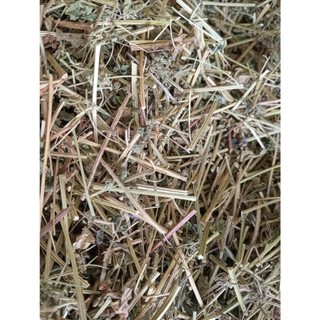 1kg cây xoan leo sấy khô hữu cơ