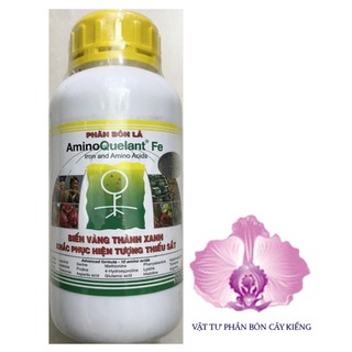 Phân bón lá amino quelant fe - #066a# 500ml