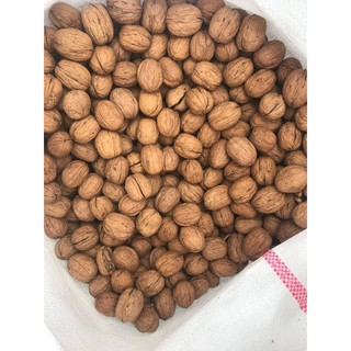 NHÂN ÓC CHÓ ĐỎ MỸ (TÁCH MỚI MỖI NGÀY)