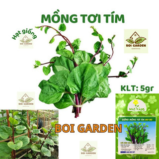 Hạt giống rau mồng tơi tím