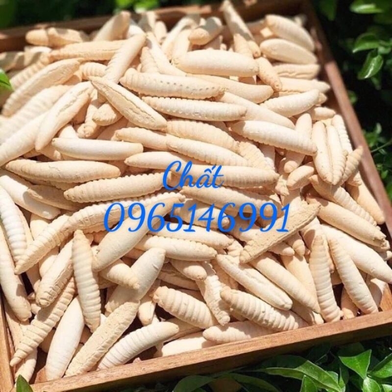 500g bánh con sùng xanh 35k