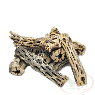 Lũa cholla cactus wood xương rồng staghorn đồ chơi trang trí bể cá tép