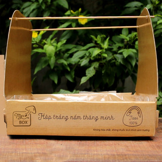 MycoBOX - Hộp trồng Nấm thông minh