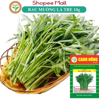 Hạt giống Rau Muống Lá Tre dễ trồng, năng suất cao (gói 10 gr) - Hạt giống CANH NÔNG