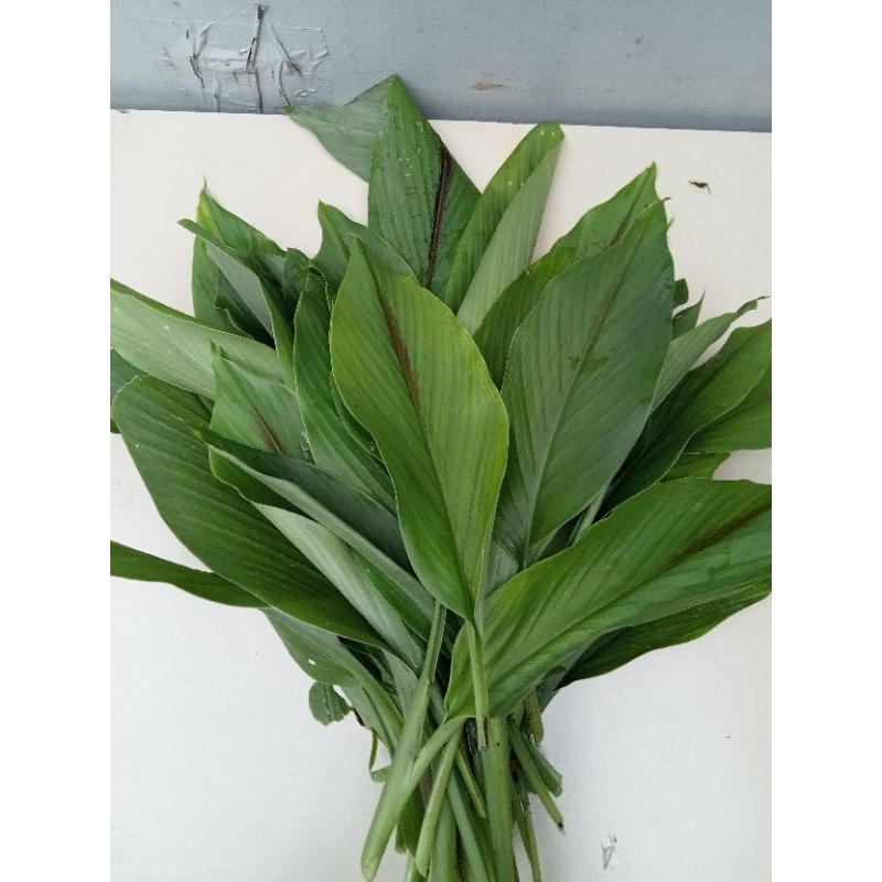 Lá Nghệ tươi 100gr [Thảo Dược Ngọc Ánh]