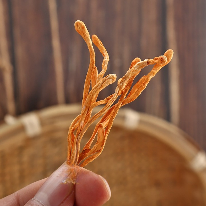 Đông Trùng Hạ Thảo 100gr Sấy Khô Sợi To Ngon Hàng Cao Cấp Bồi Bổ Cơ Thể