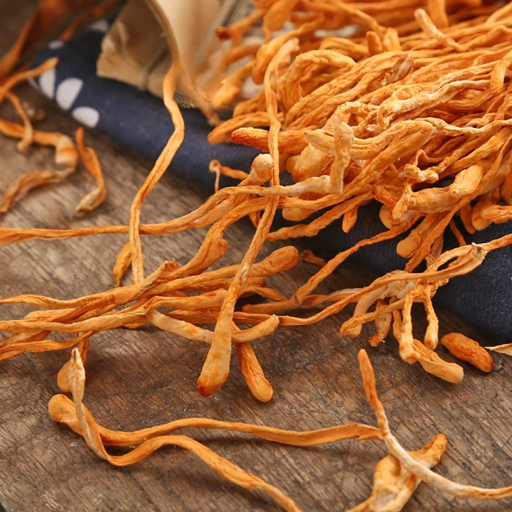 Đông Trùng Hạ Thảo 100gr Sấy Khô Sợi To Ngon Hàng Cao Cấp Bồi Bổ Cơ Thể