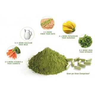 100gr bột chùm ngây nguyên chất tự trồng