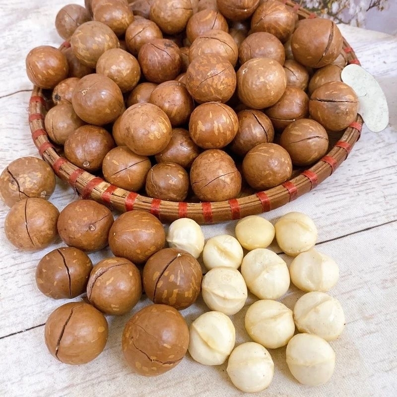 500gr quả macca size đại có chứng nhận ATTP