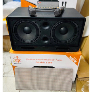 Loa xách tay 2 bass 20