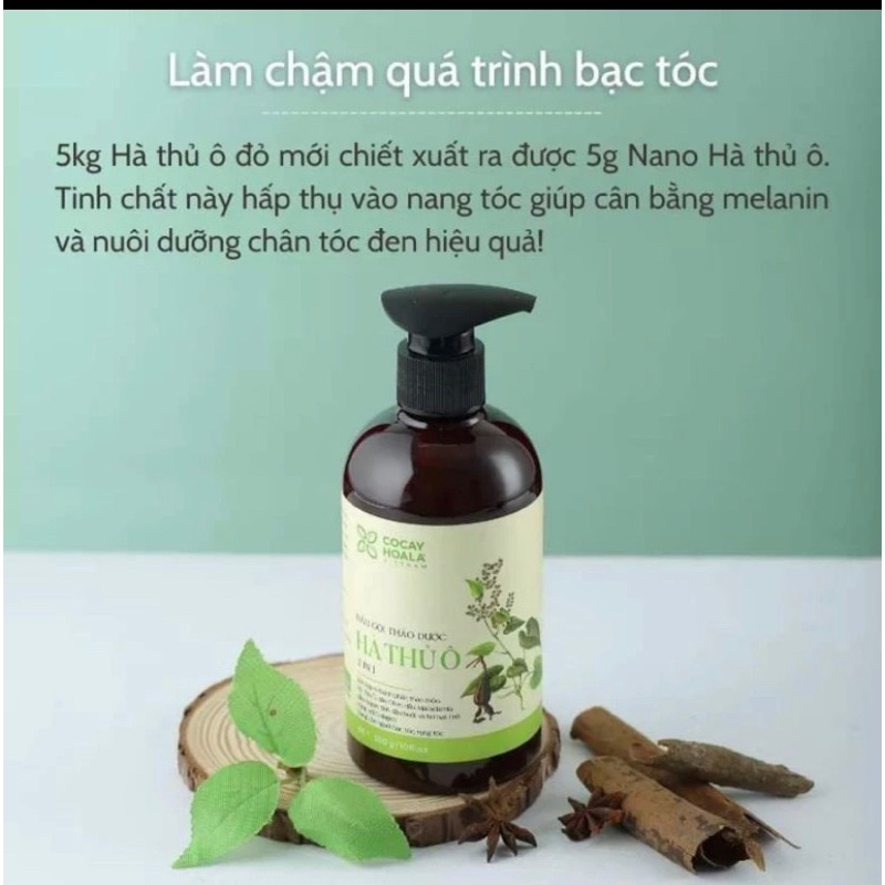Dầu gội thảo dược Hà thủ ô 2in1 Cocayhola chính hãng
