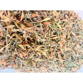 Hoa đu đủ đực sấy khô thơm đẹp