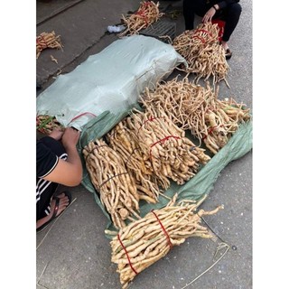 sâm xuyên đá (1kg)
