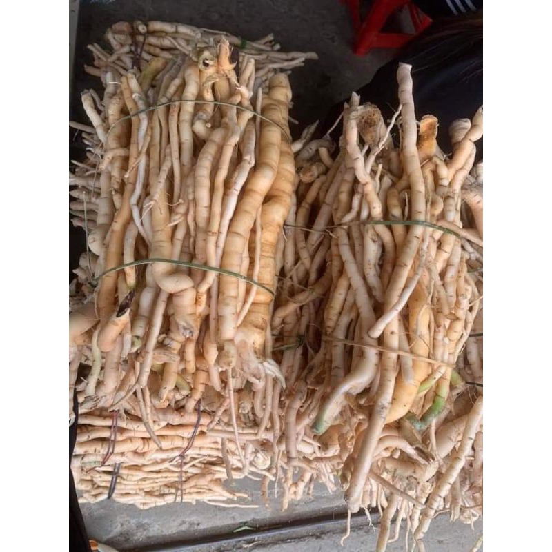 sâm xuyên đá (1kg)