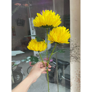Cành cúc vạn thọ 3 bông