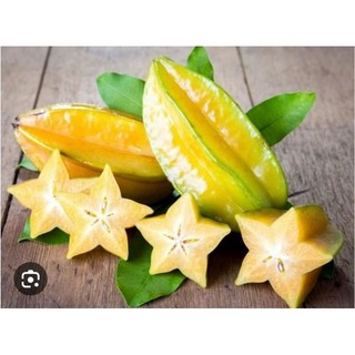 Chậu cây Khế Ngọt chưa ra có hoa ( cao 40-60cm )