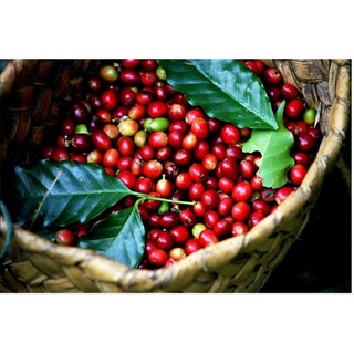 Cafe bột Mạnh Hiếu số 2 ( gói 500 gam )