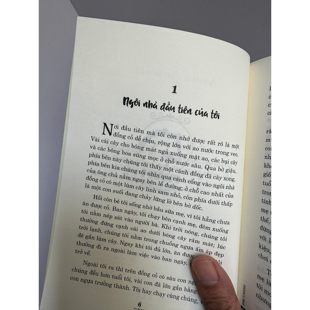 Sách -  Ngựa ô yêu dấu - Anna Sewell - Nguyễn Quang Huy - Đinh Tị - NXB Văn Học.