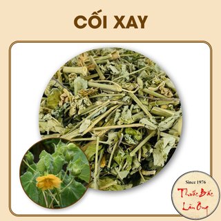 Cây Cối Xay 500g