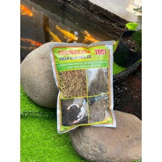 1kg Chế phẩm Sinh học TRICHODERMA - Nấm Đối Kháng