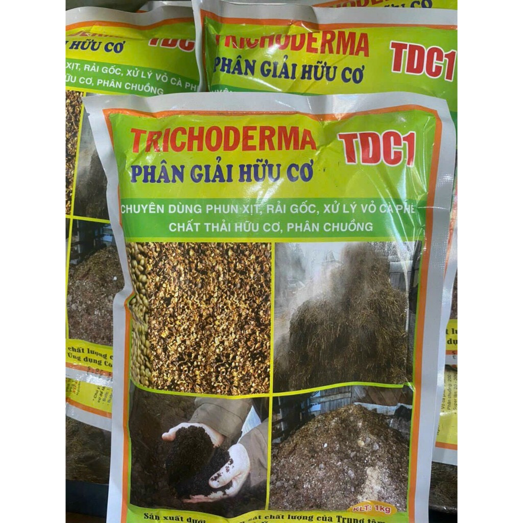 1kg Chế phẩm Sinh học TRICHODERMA - Nấm Đối Kháng