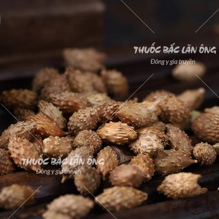 Ké đầu ngựa 100g, thương nhĩ tử khô, sạch, không gai, không lẫn tạp chất - Lãn Ông
