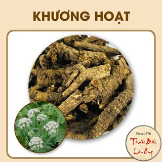 Khương Hoạt 100g
