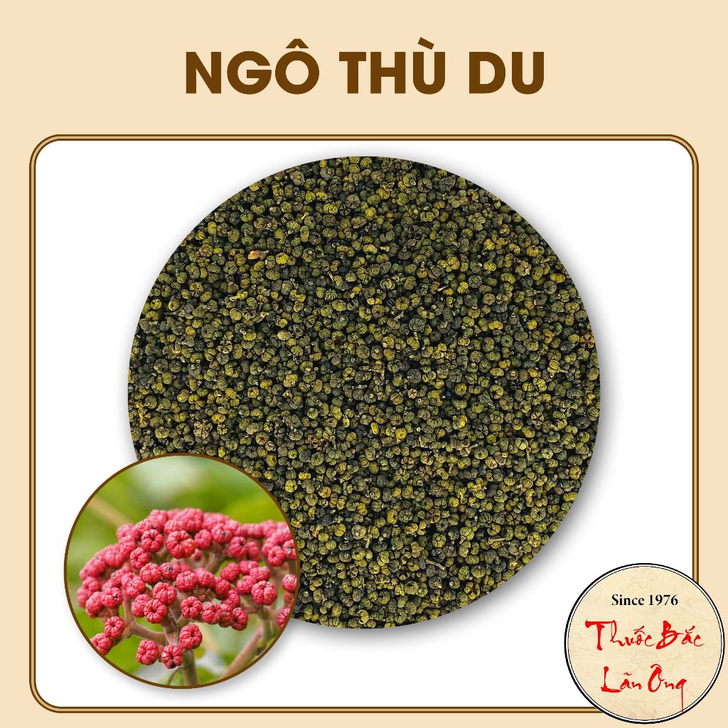 Ngô thù du 1kg (Hàng khô, sạch, đẹp)