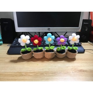Chậu hoa len 5 cánh mini để trang trí bàn làm việc