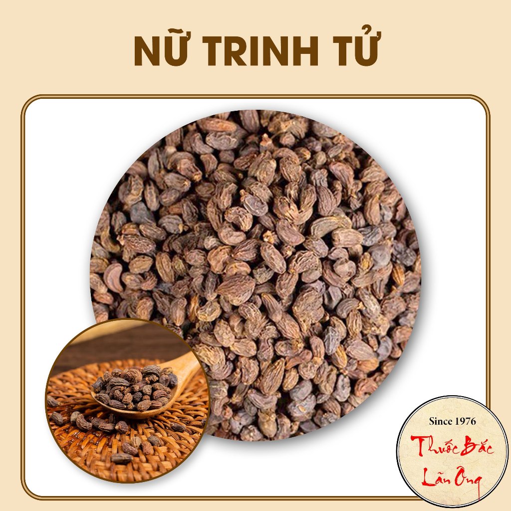 Nữ Trinh Tử 1kg