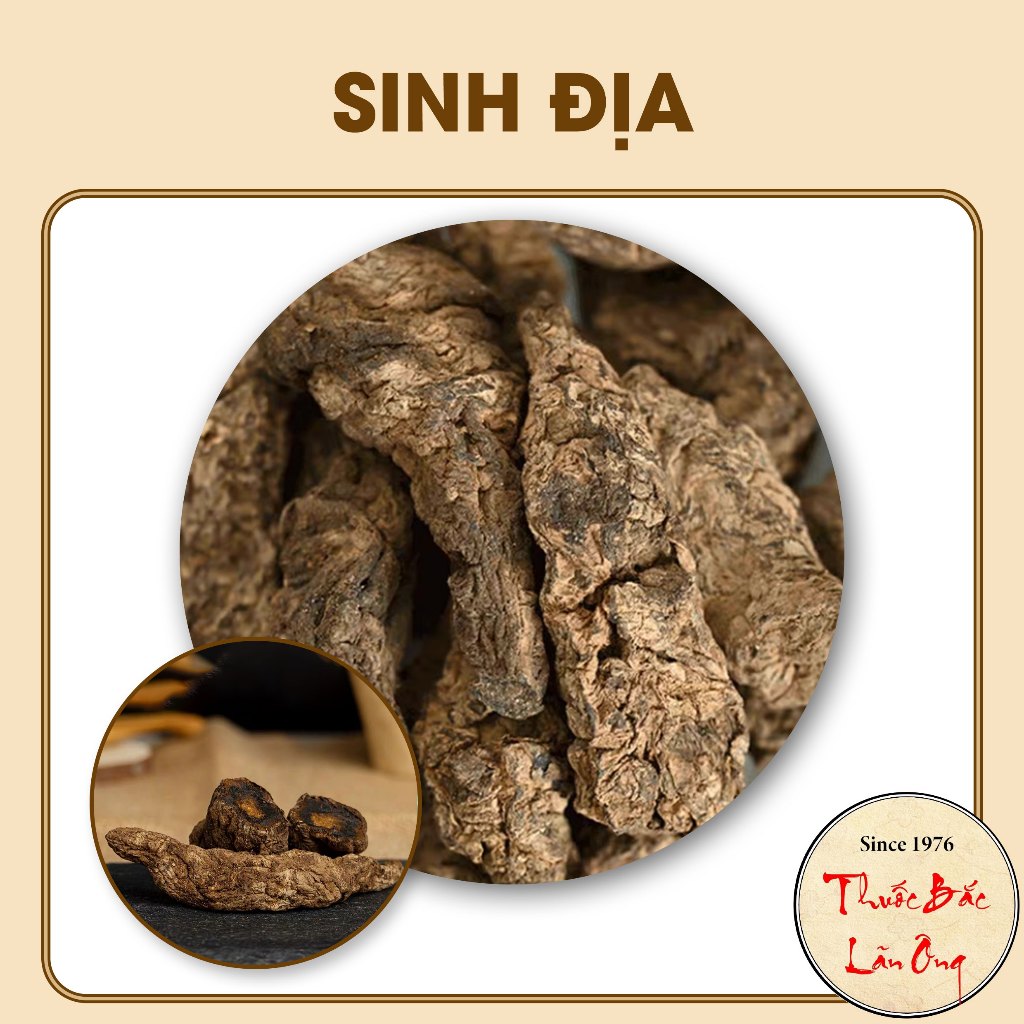 Sinh Địa 100g