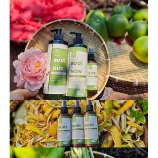 Dầu gội trị rụng tóc kích thích mọc tóc dầu gội bưởi thảo dược