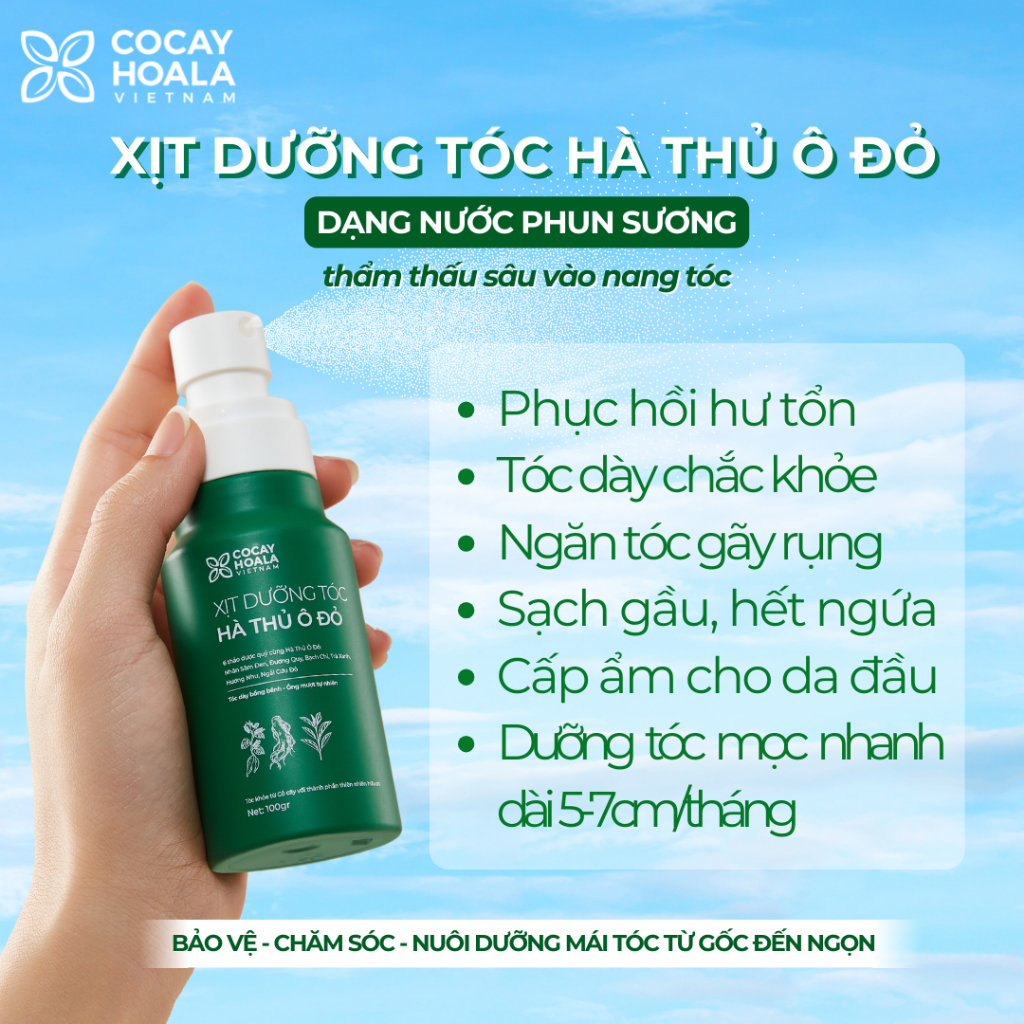 Dầu gội thảo dược Hà thủ ô Cân Bằng Sắc Tố Melanin Cỏ Cây Hoa Lá 420g