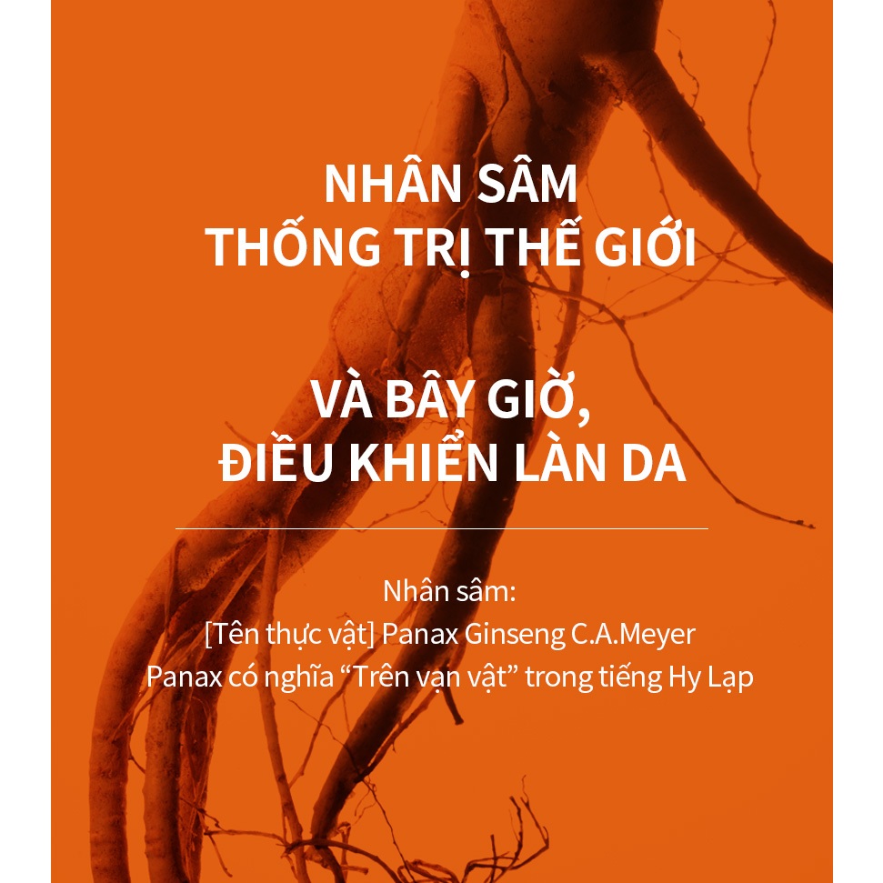 Serum nhân sâm Sulwhasoo gói 1ml