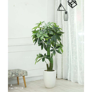 Cây giả - Cây kim ngân trang trí nhà cửa, ban công xanh mát, decor văn phòng hút tài lộc, cây phong thủy LanDecor