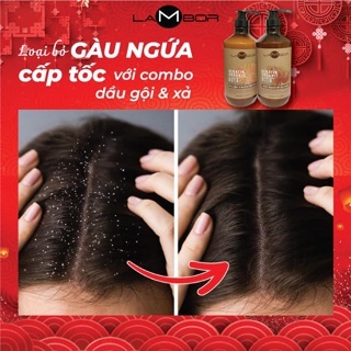 Dầu gội xả bưởi AILISE LAMBOR Chống rụng ngừa gàu kiềm dầu kích thích moc tóc phục hồi tái tạo cấu trúc tóc