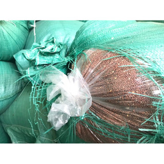 Hạt cải mầm củ cải trắng Tây bắc