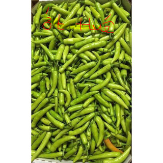 ớt Huế ,500gram. Khách du lịch mua làm quà rất nhiều
