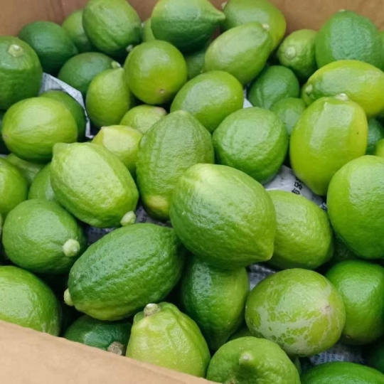 Cây Chanh Nước Hoa