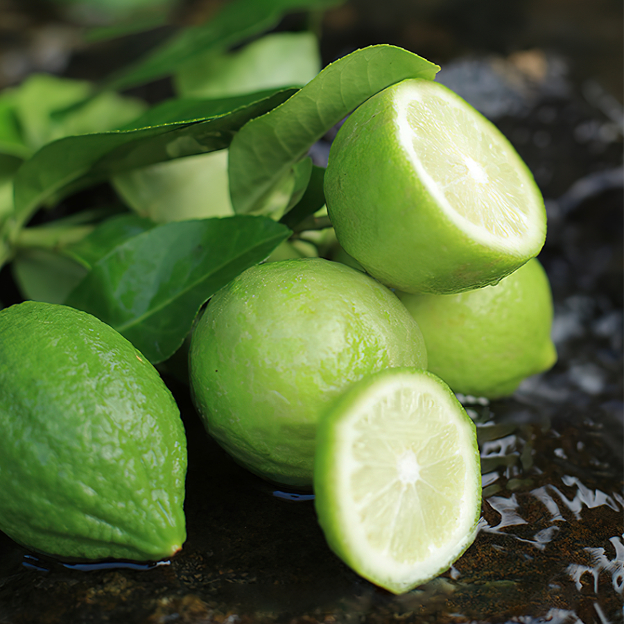 Cây Chanh Nước Hoa