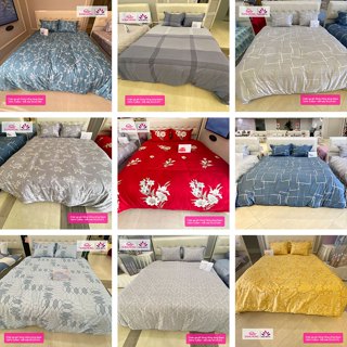  Bộ Vỏ Chăn Ga Gối Chun Chần Sông Hồng Basic 100% Cotton 2025 - 2026 