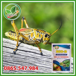 Chế phẩm sinh học Bio-B. Gói 30gr