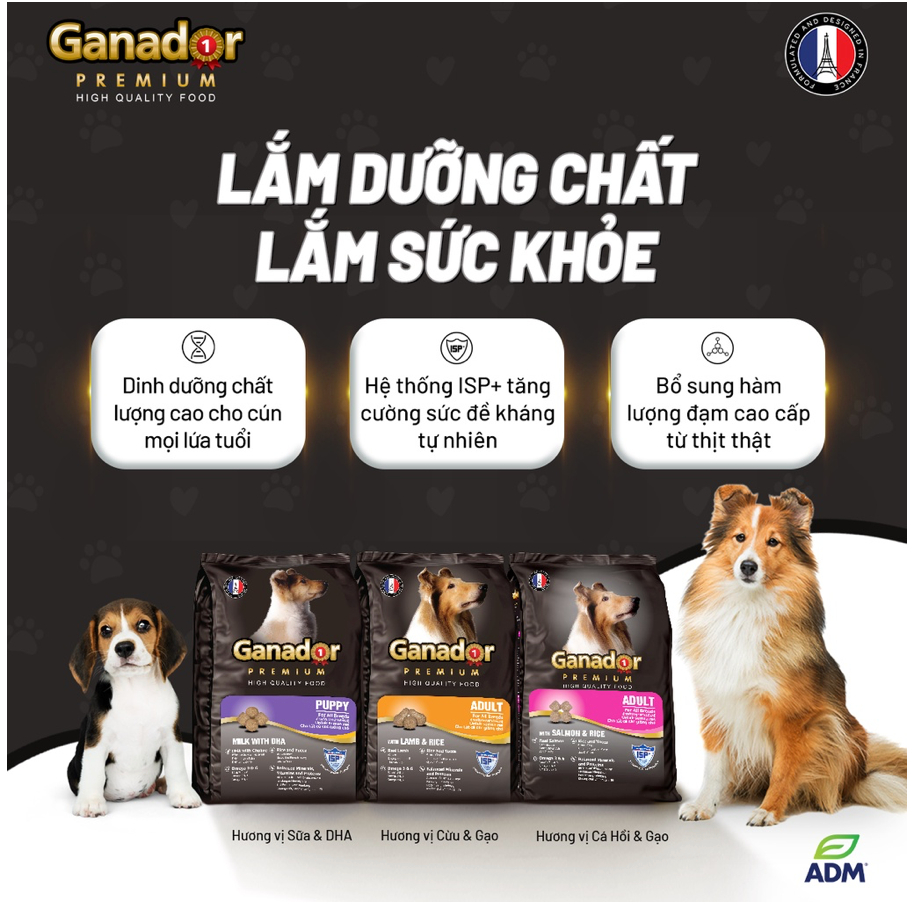 Thức ăn hạt cho chó Ganador 3kg