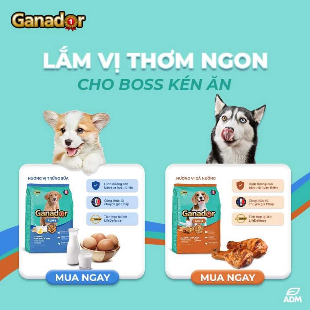 Thức ăn hạt cho chó Ganador 3kg